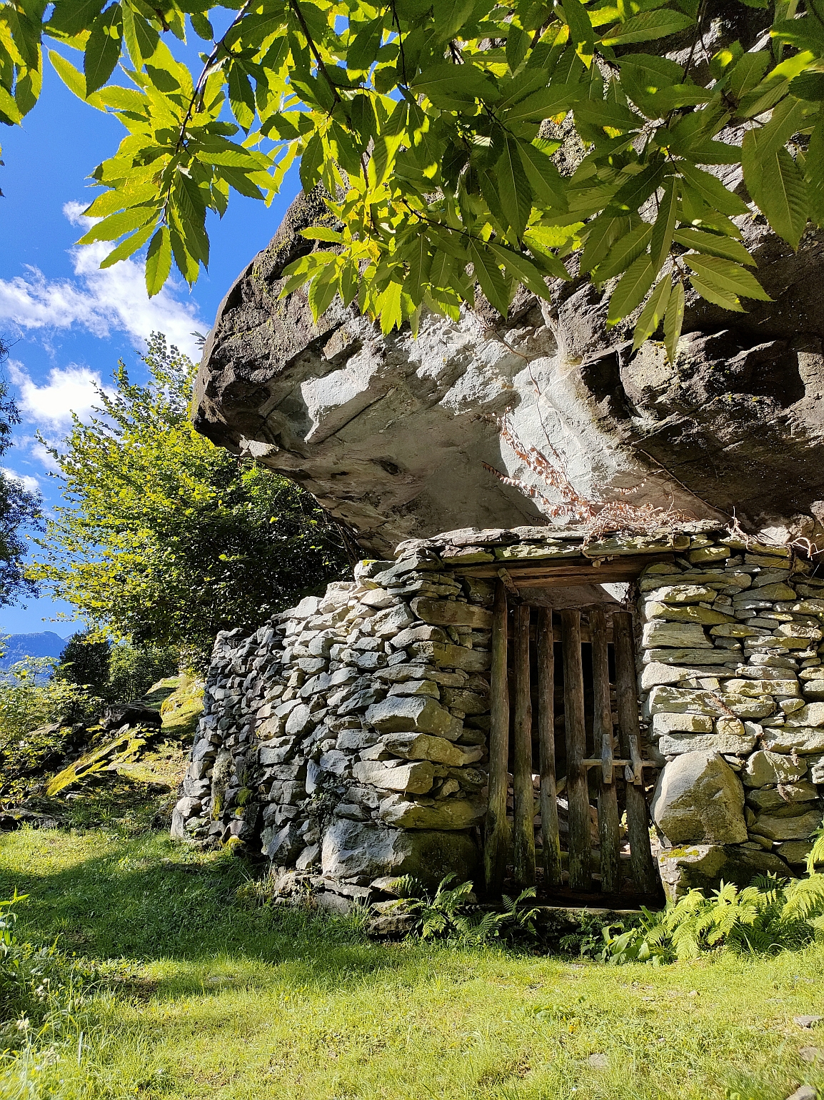 Visita guidata Vallemaggia, percorso della pietra: Se le pietre potessero parlare...