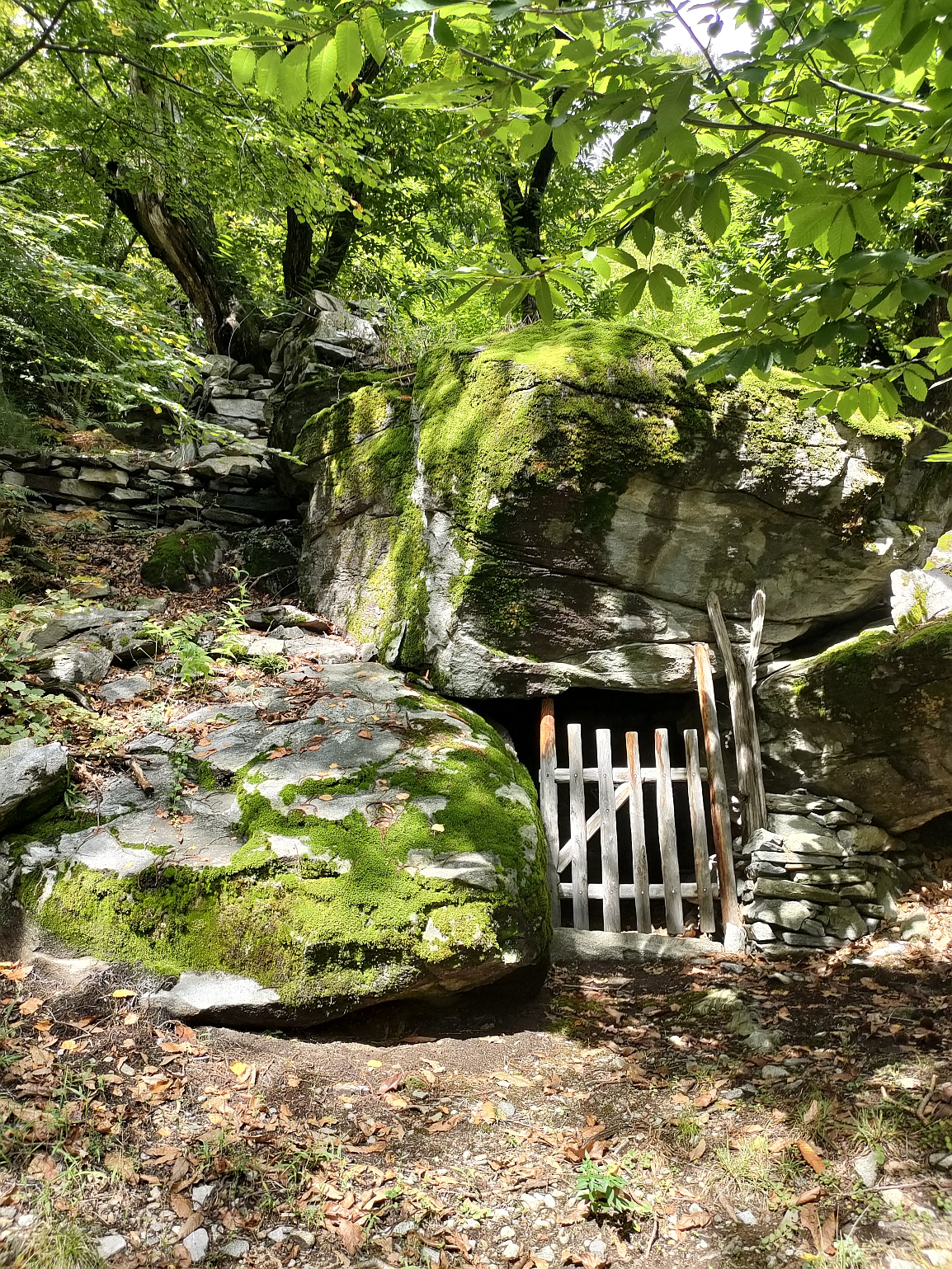 Visita guidata Vallemaggia, percorso della pietra: Se le pietre potessero parlare...