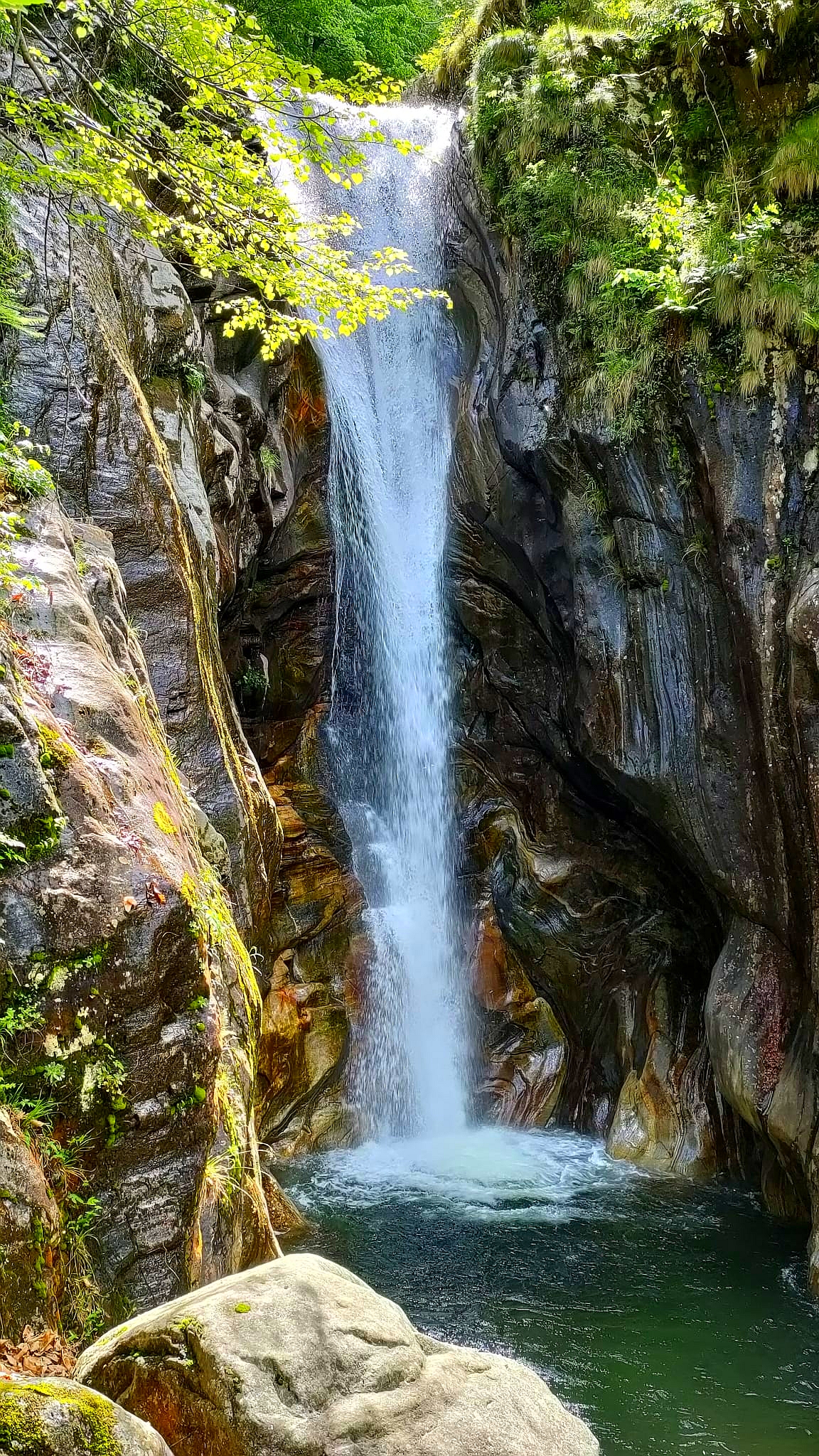 Visita guidata alle cascate della Vallemaggia